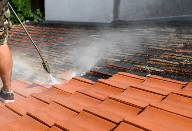 Best Residential Pressure Washing Services  in Bell, CA